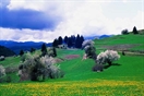 Lorem ipsum dolor sit amet